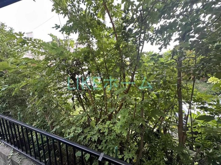 ヴランドール西船の内装