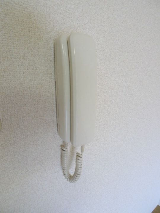 愛知県名古屋市中区大井町(マンション)の賃貸物件の内装