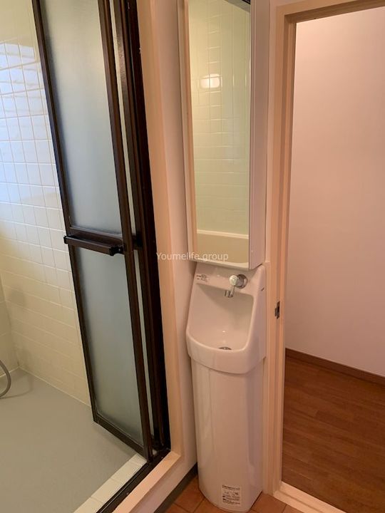 神奈川県厚木市水引2(マンション)の賃貸物件の内装
