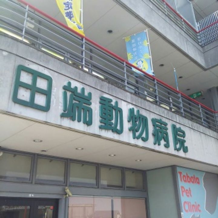 大阪府堺市美原区平尾(一戸建)の賃貸物件の周辺