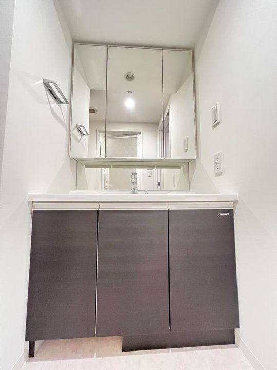 東京都葛飾区新宿1(マンション)の賃貸物件の内装