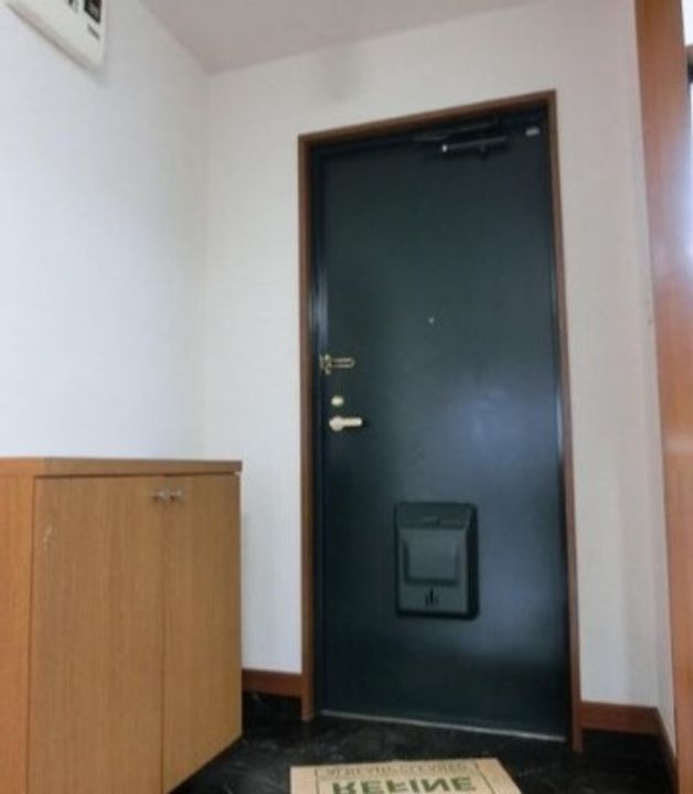 東京都練馬区桜台4(マンション)の賃貸物件の玄関