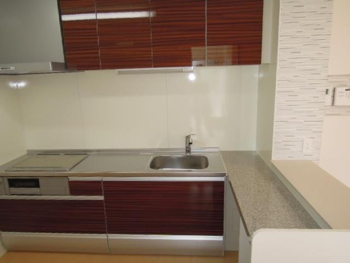 D-room本郷新IIのキッチン