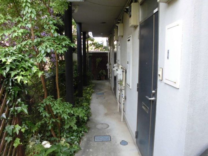 CEDRELの地図