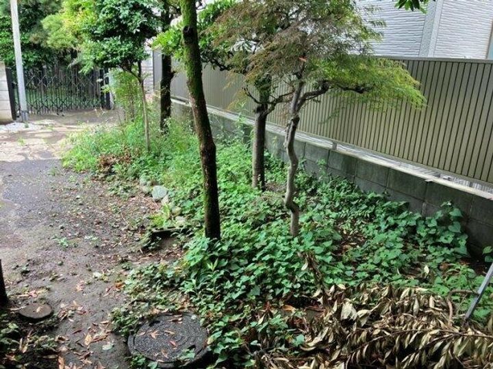 東京都練馬区平和台1(一戸建)の賃貸物件のその他画像