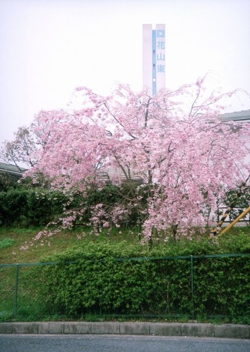 UR花山東の地図