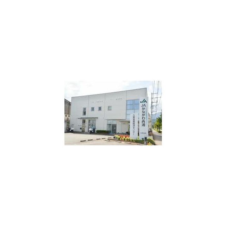神奈川県小田原市久野(アパート)の賃貸物件の周辺