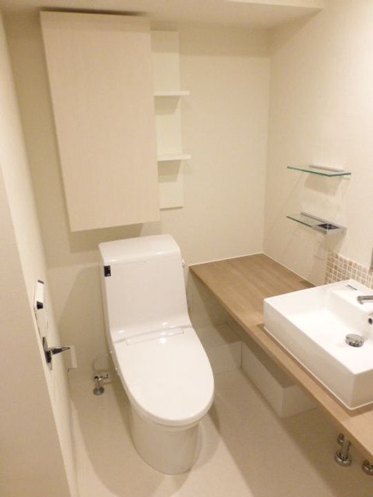 東京都港区新橋5(マンション)の賃貸物件の内装