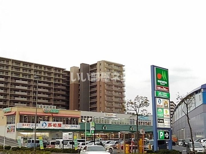 埼玉県三郷市中央1(アパート)の賃貸物件の周辺