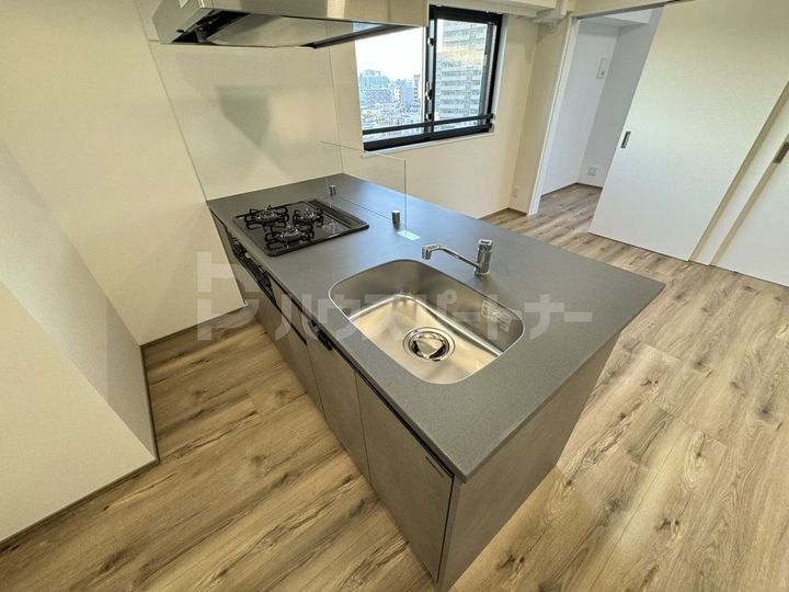 RELUXIA東向島IIのキッチン