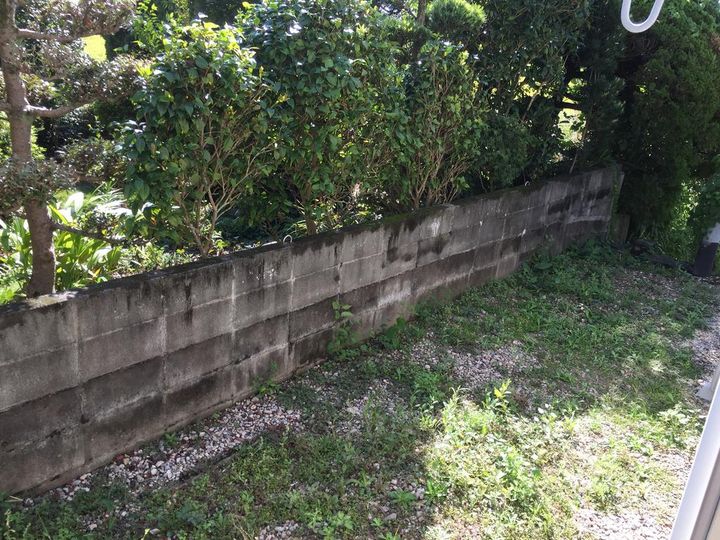 コーポNKQの内装