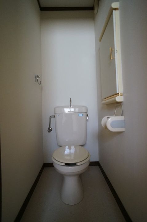 千葉県市川市塩焼4(アパート)の賃貸物件の内装