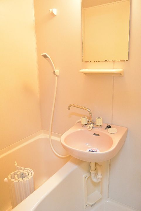 イーストサイドミネ2の風呂