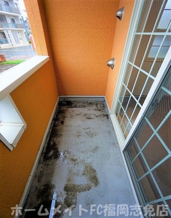 福岡県糟屋郡粕屋町花ヶ浦3(アパート)の賃貸物件の内装