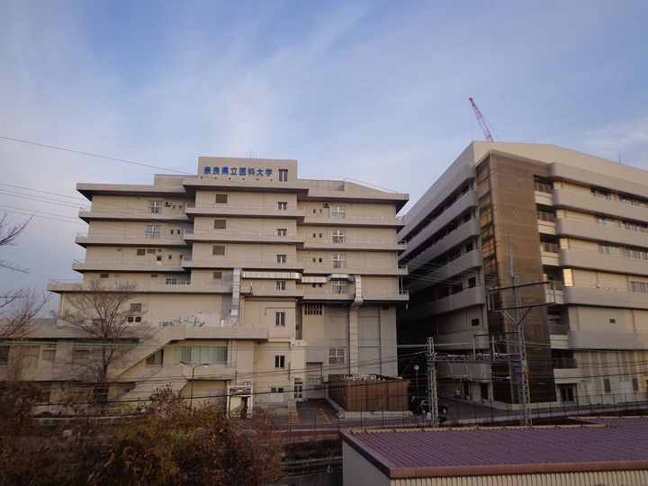 メルシーの周辺