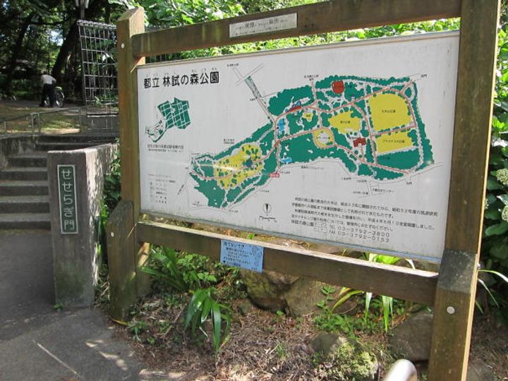 メゾンドラフォーレの周辺