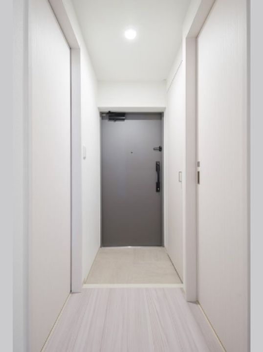 ドゥーエ入谷Iの玄関