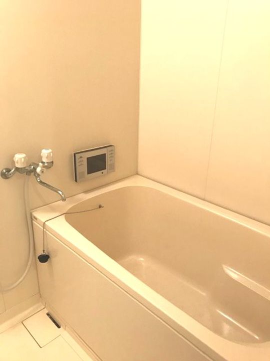 フラワーシティINブラボンの風呂