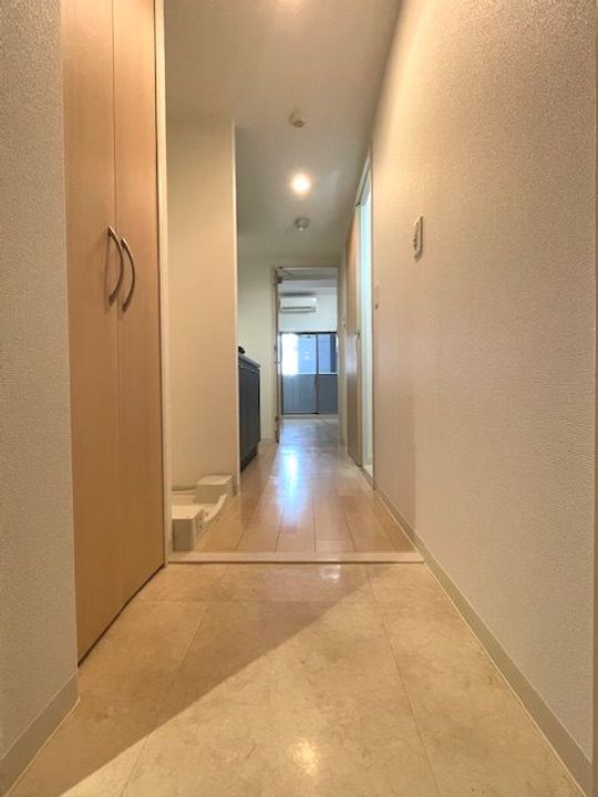 大阪府大阪市浪速区桜川2(マンション)の賃貸物件の玄関