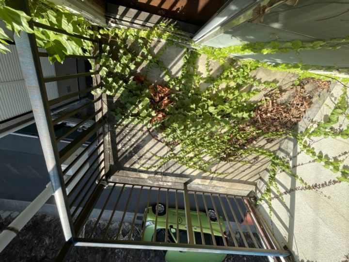 兵庫県宝塚市雲雀丘山手1(一戸建)の賃貸物件の内装