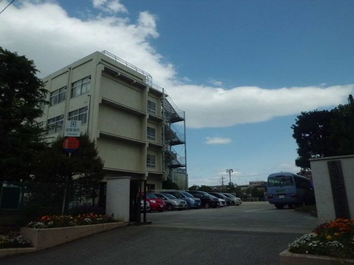 パレス市川の周辺