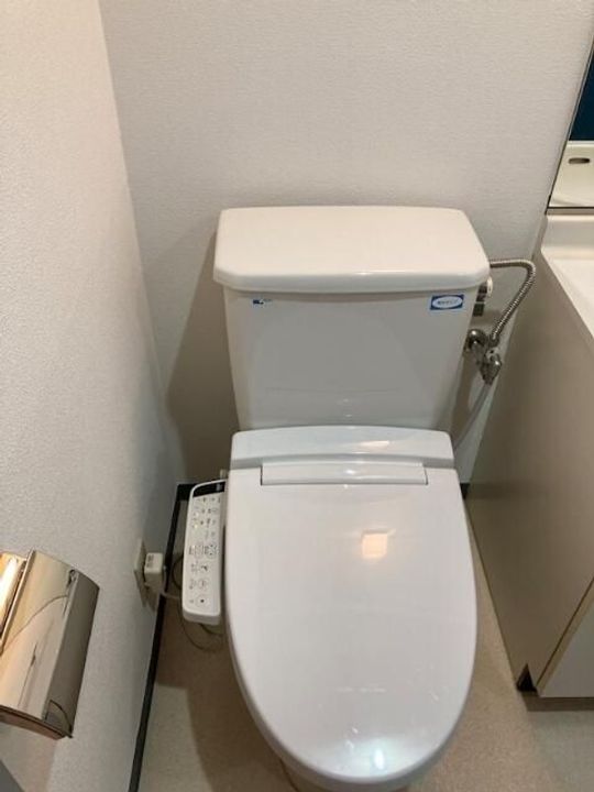 東京都北区赤羽南1(マンション)の賃貸物件の内装