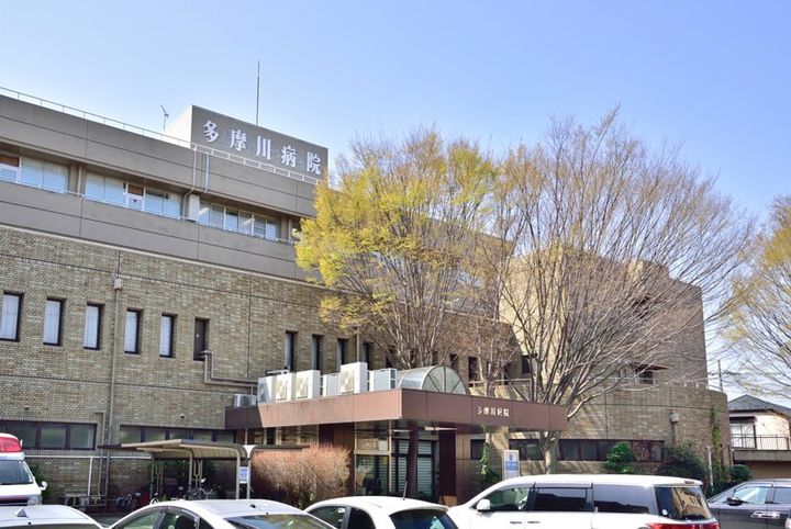 ドリーム八雲の周辺