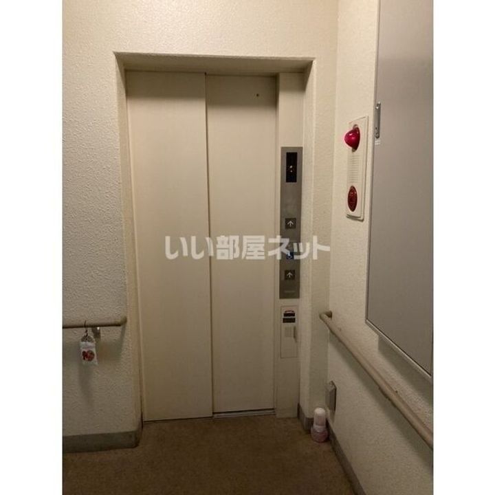 栃木県宇都宮市材木町(マンション)の賃貸物件の内装