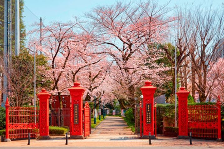 東京都豊島区巣鴨1(マンション)の賃貸物件の周辺