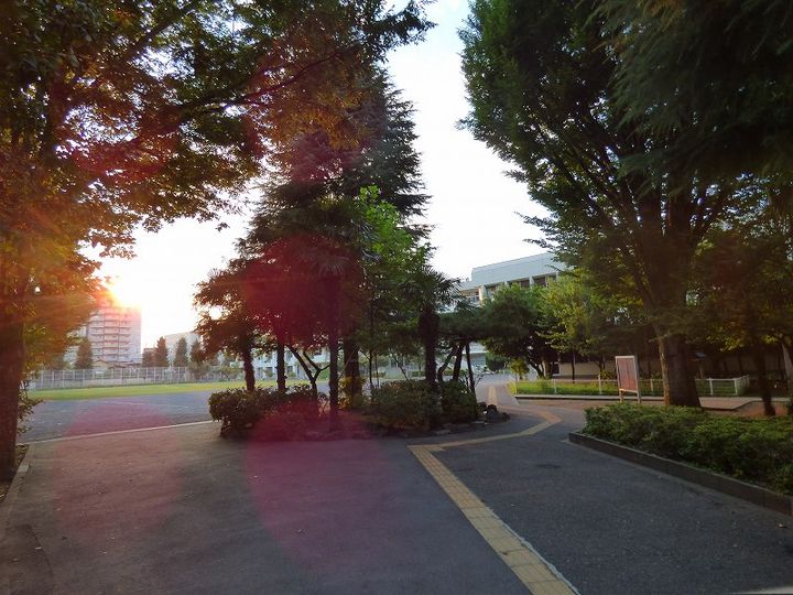 東京都府中市幸町1(マンション)の賃貸物件の周辺