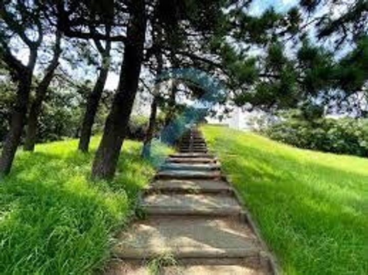 東京都江戸川区東葛西6(マンション)の賃貸物件の周辺