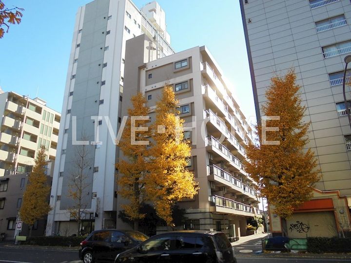 東京都杉並区梅里2(マンション)の賃貸物件の外観