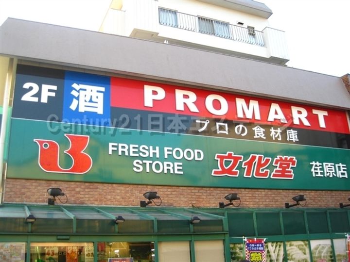 東京都品川区中延4(一戸建)の賃貸物件の周辺