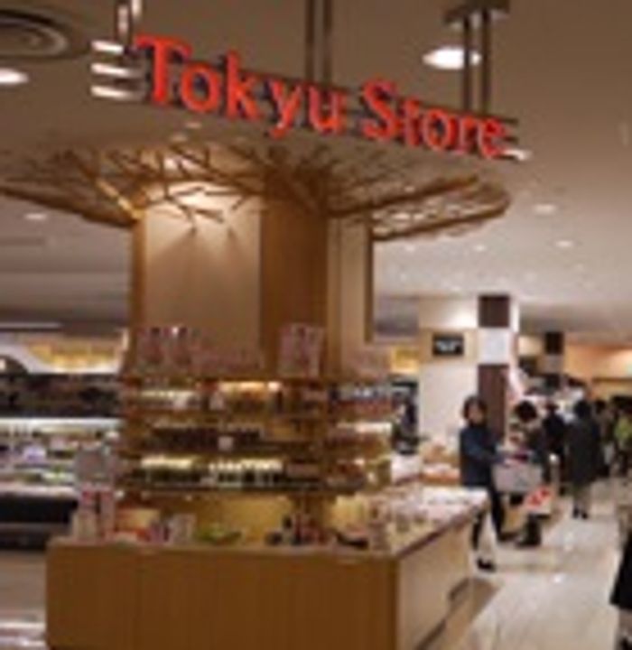 ニューシティアパートメンツ戸越の周辺