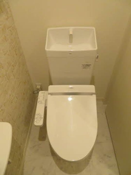 グランツヴィラ大福 B棟の内装