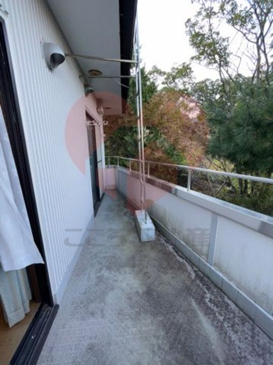 大阪府阪南市箱作(一戸建)の賃貸物件の内装