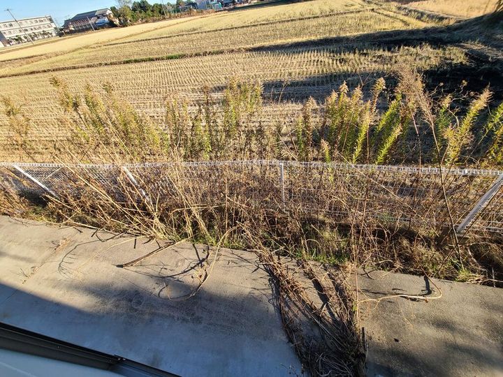 剣英館IIの内装