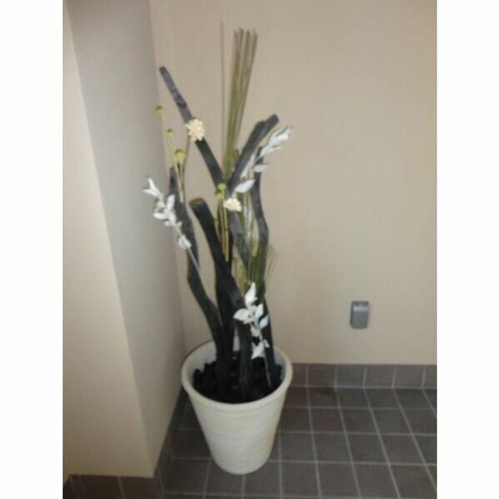 東京都足立区西新井6(マンション)の賃貸物件のその他画像