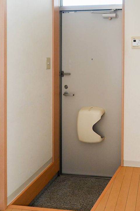 東京都世田谷区代田3(アパート)の賃貸物件の玄関