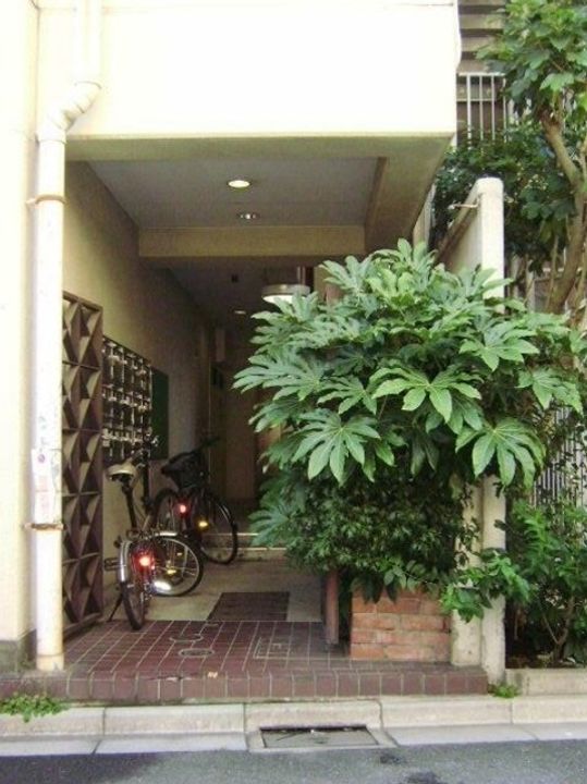 ウェザーコックコンノの地図