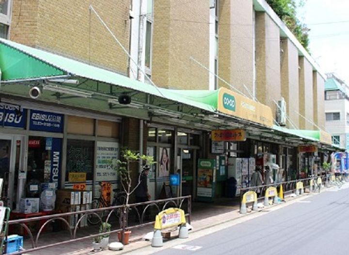 東京都世田谷区奥沢5(マンション)の賃貸物件の周辺