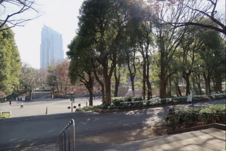 東京都渋谷区本町2(アパート)の賃貸物件の周辺