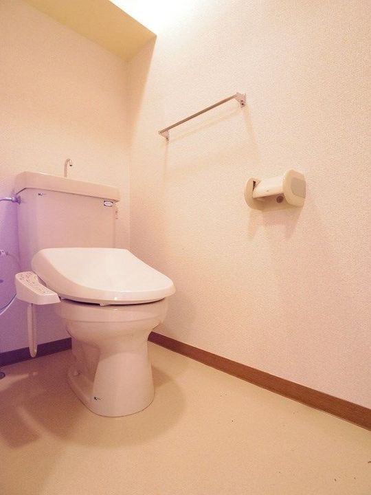 埼玉県朝霞市溝沼2(マンション)の賃貸物件の内装