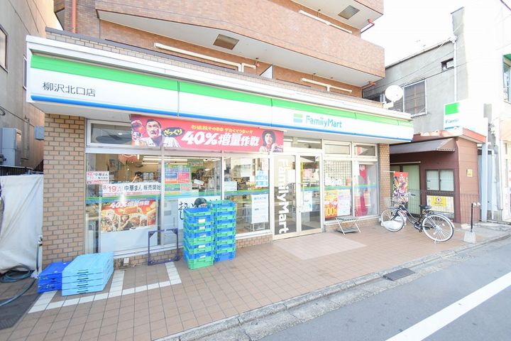 ディアレイシャス西武柳沢の周辺