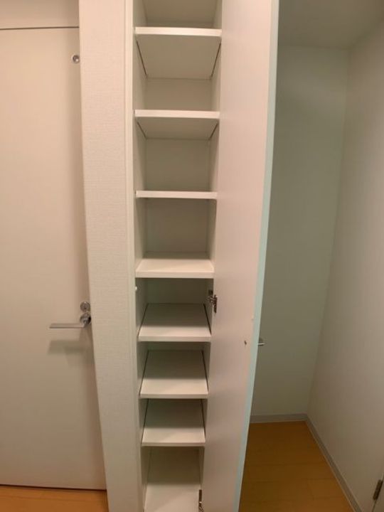 埼玉県草加市氷川町(マンション)の賃貸物件の内装