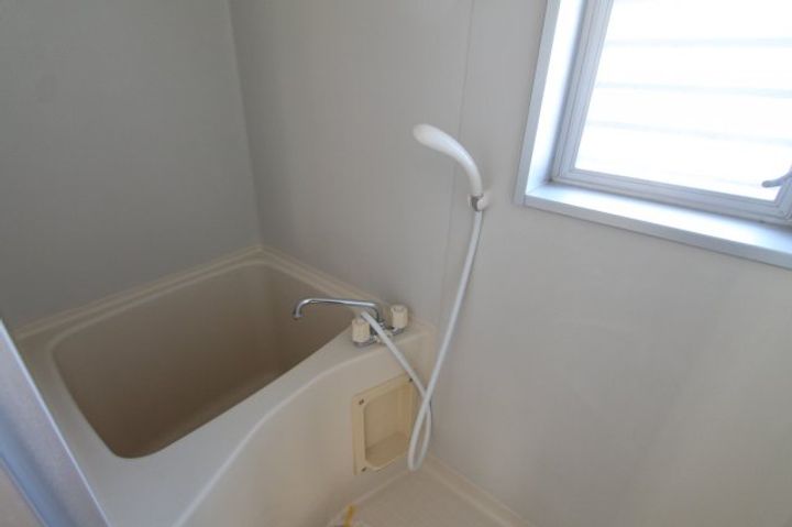 ペールグリーンエムズビルIIの風呂