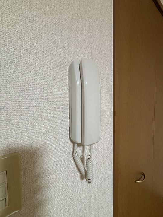 岐阜県加茂郡坂祝町黒岩(アパート)の賃貸物件の内装