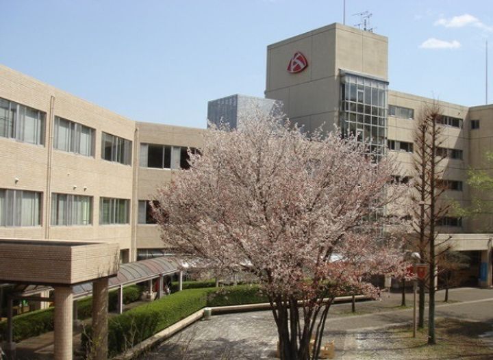 リトルシャインの周辺