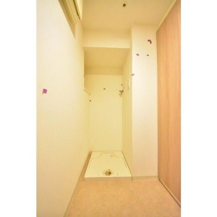 Log品川サンズのその他画像