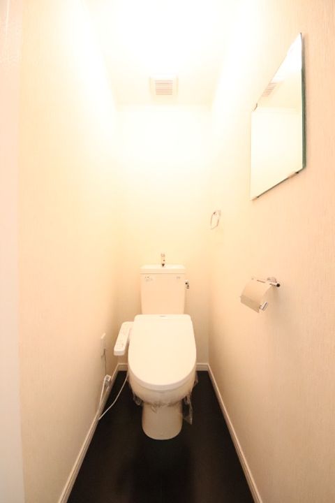 兵庫県尼崎市武庫之荘東2(マンション)の賃貸物件の内装